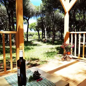  Сasa de vacaciones The Pineforest España